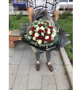 Red and White Rose